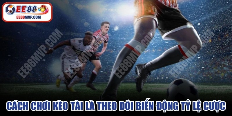 Cách chơi kèo tài hiệu quả là theo dõi biến động tỷ lệ cược 